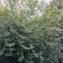 Продажа двухкомнатной квартиры - Гранитная улица, д.50 
