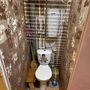Продажа двухкомнатной квартиры - Всеволожск, Ленинградская улица, д.15, корп.1 