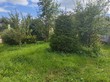 Продажа дачи - Россия, Ленинградская область, Гатчинский район, Массив Новые Черницы тер.