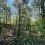 Продажа участка - городской поселок Рощино, Красноармейская улица
