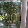 Продажа двухкомнатной квартиры - Камышинская улица, д.20 