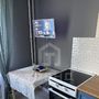 Продажа однокомнатной квартиры - городской поселок Янино-1, Тюльпанов улица, д.2, корп.2 