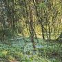 Продажа участка - поселок Никифоровское, 3-й Радужный проезд