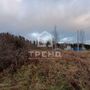 Продажа участка - Ленинградская область, Бригантина-2(Кобрино) территория снт