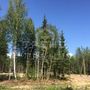 Продажа участка - городской поселок Рощино, Пойменный проезд