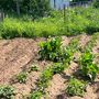 Продажа трехкомнатной квартиры - Тихвин, Плаунская улица, д.7 