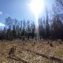 Продажа участка - Ленинградская область, Новопетровская улица