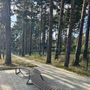 Продажа участка - поселок Пески, Алых Парусов улица