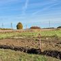 Продажа участка - Всеволожский район, Массив Скотное территория