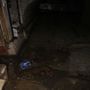 Аренда офиса - Садовая улица, д.28, _30к41 