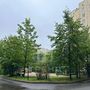 Продажа трехкомнатной квартиры - Пулковская улица, д.13 