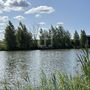 Продажа участка - Ленинградская область, Ромашковая улица