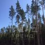 Продажа участка - городской поселок Рощино, Пойменный проезд