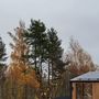 Продажа коттеджа - поселок Сосново, Сосновский-15 проезд, д.7