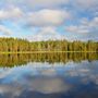 Продажа участка - деревня Петровская Горка, Нижняя улица