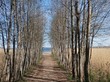 Продажа дома - Прибылово п.